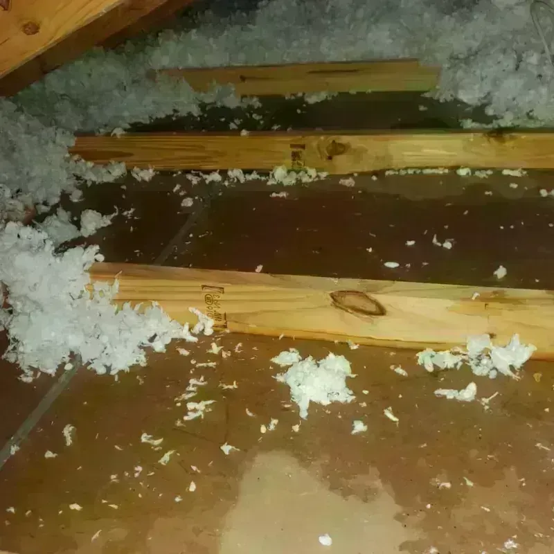 Attic Water Damage in Mount Gilead, OH